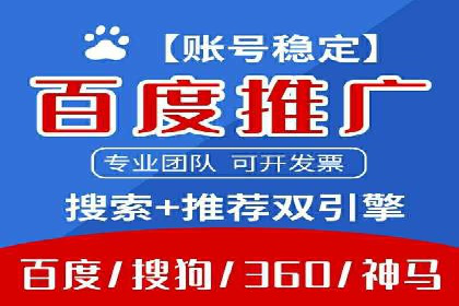 百度竞价与搜索引擎优化（SEO）的协同效应案例